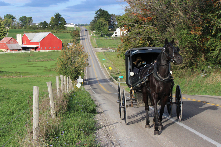 amish buggy, amish country, road, country, ashland convention and visitors bureau, ashland ohio, 